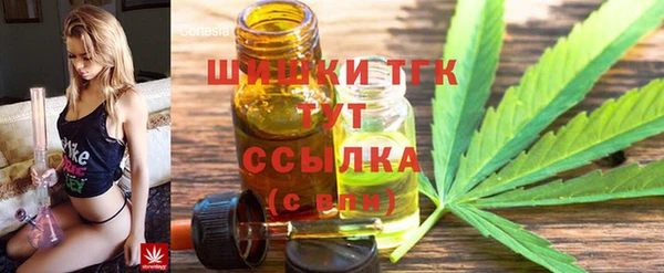 прущие грибы Беломорск
