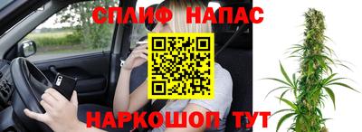 индика Апшеронск