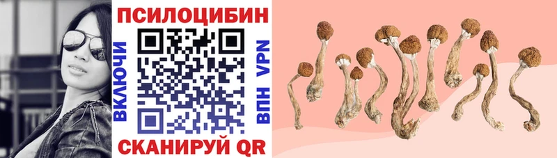 Галлюциногенные грибы ЛСД blacksprut ONION Гулькевичи